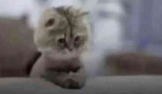 "What do you bring to the table?"
Me: Table cloth | MirrorLog